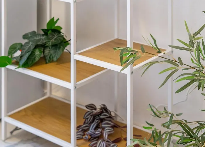 - A Pochi Passi Dal Centro Storico Appartement